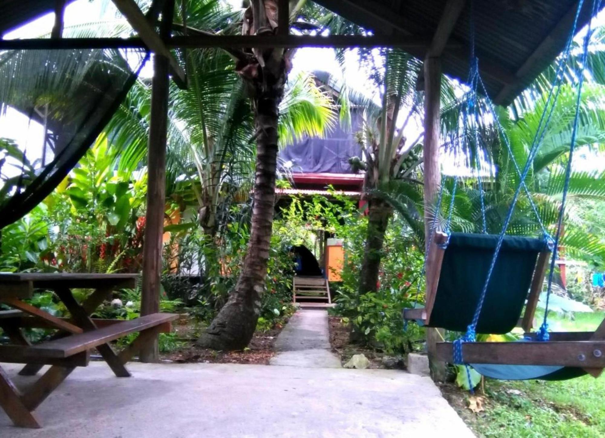 Hotel La Y Surf Camp Bocas del Toro Zewnętrze zdjęcie