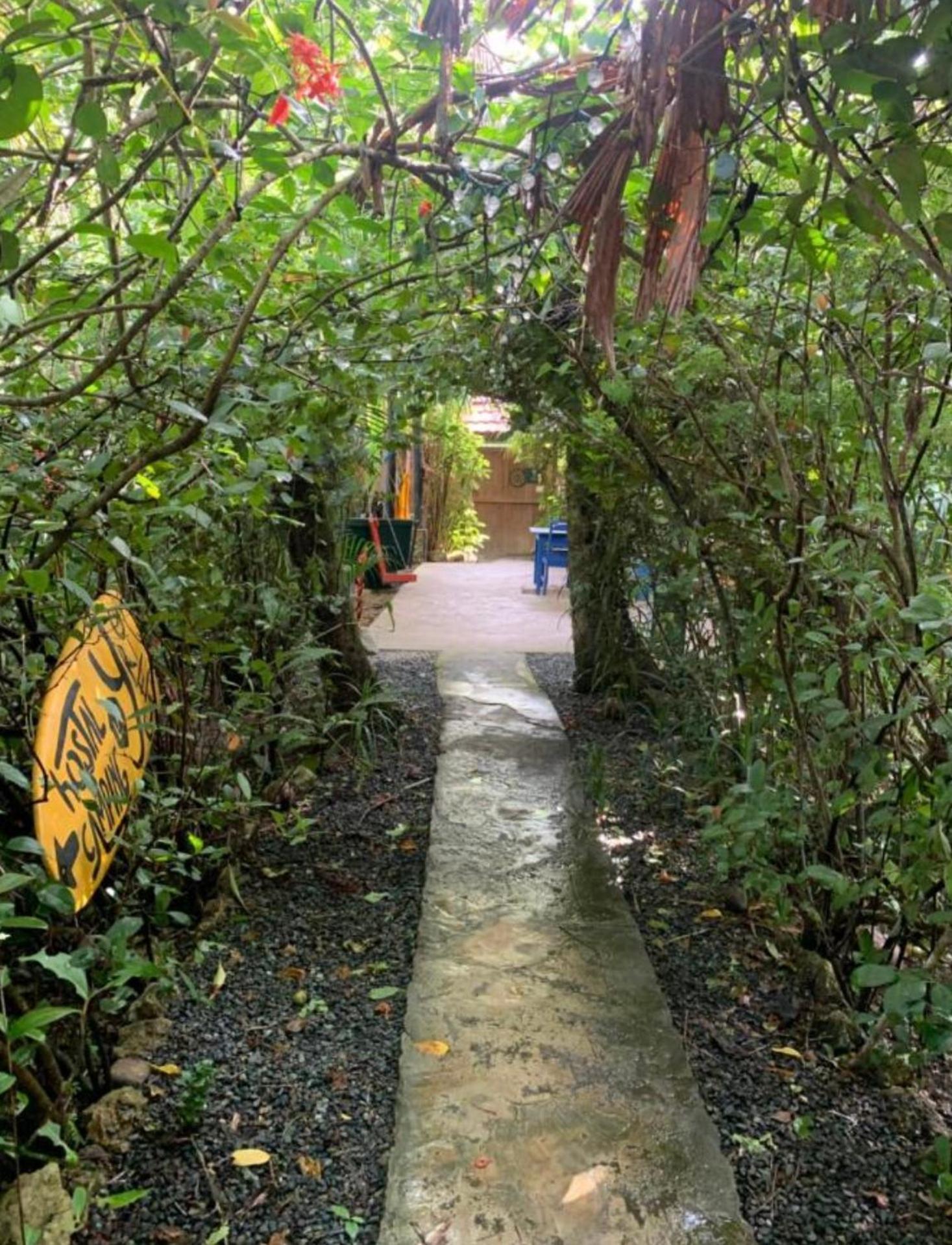 Hotel La Y Surf Camp Bocas del Toro Zewnętrze zdjęcie