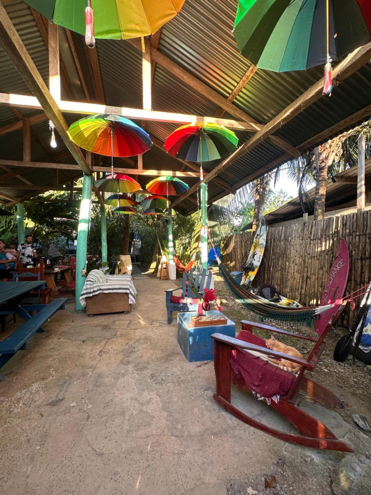Hotel La Y Surf Camp Bocas del Toro Zewnętrze zdjęcie